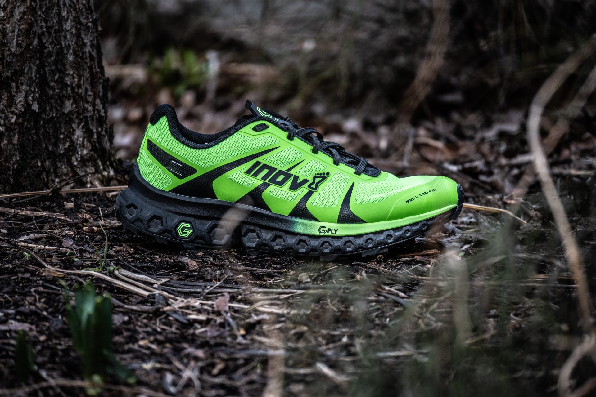 trailfly-13