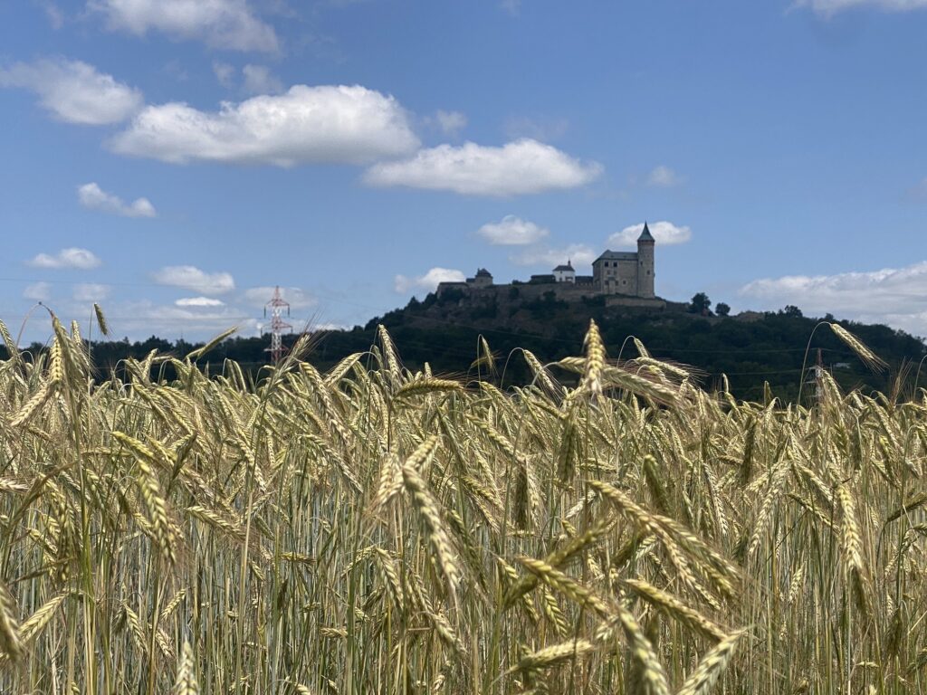 Foto: Kateřina Rusá