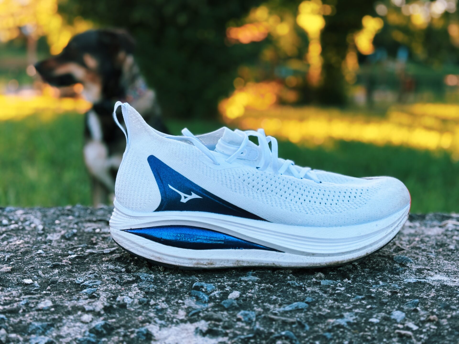 Mizuno Neo Vista 2