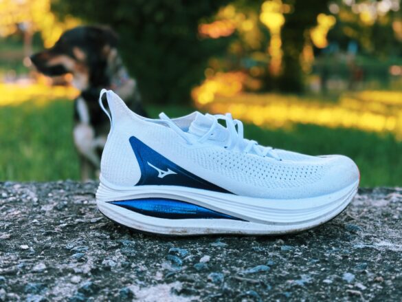 Mizuno Neo Vista 2