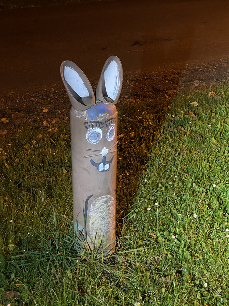 Občas mi zkřížil cestu nějaký ten zajíc. Foto: Kat Secteur