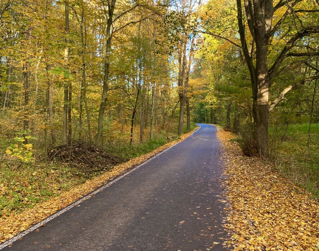 Podzimní barvy jsou na říjnu to nejhezčí. Foto: Kat Secteur