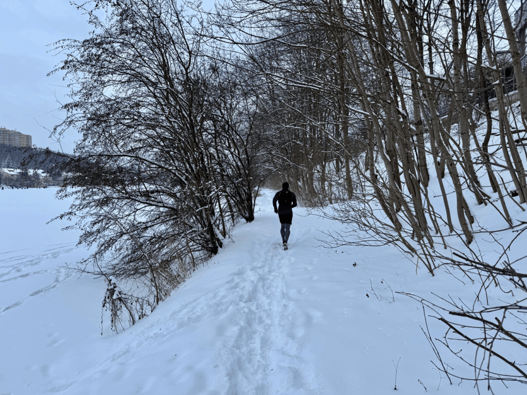 Běhání na sněhu v lese